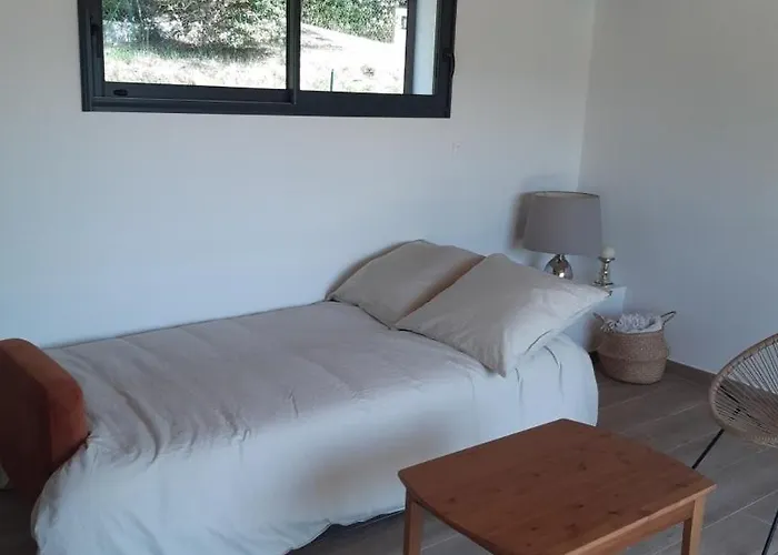 Casa vacanze Des Oliviers - 4 Pers - Piscine